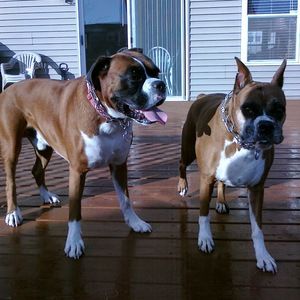 Meet your Posher, Me'chell